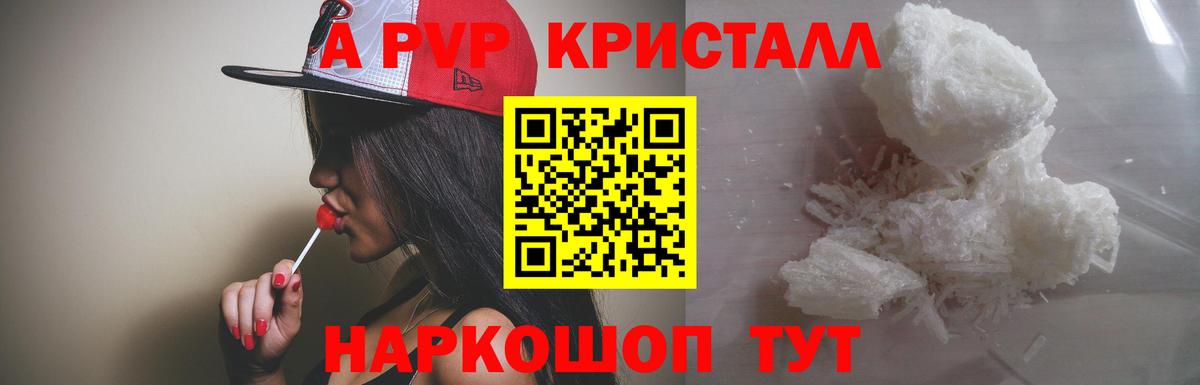 Альфа ПВП крисы CK  Alfa_PVP СК КРИС  Вход с VPN  Реутов 