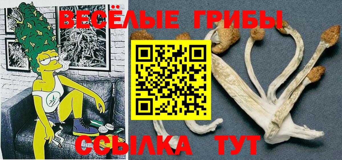Галлюциногенные грибы GOLDEN TEACHER  Вход с VPN  Реутов  Псилоцибиновые грибы MAGIC MUSHROOMS 